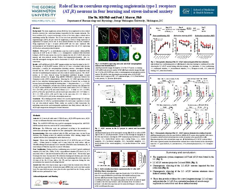 Poster PDF