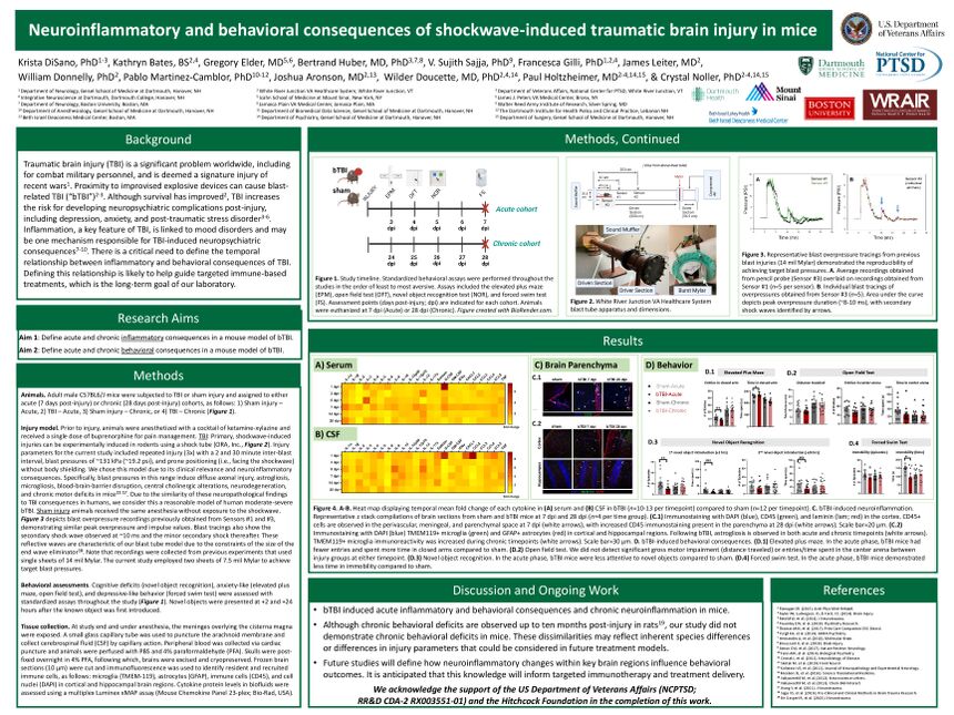 Poster PDF
