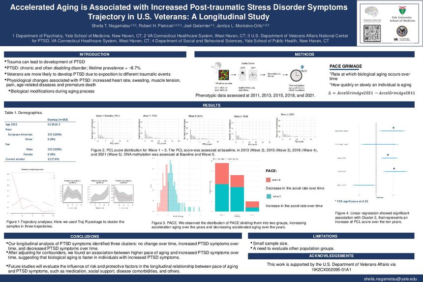 Poster PDF